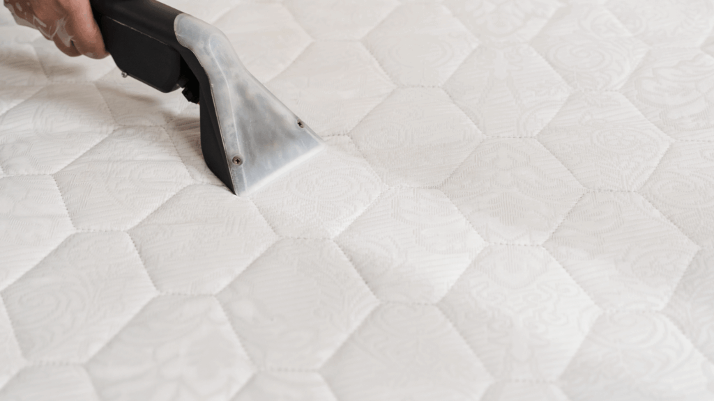 Nettoyeur vapeur pour matelas