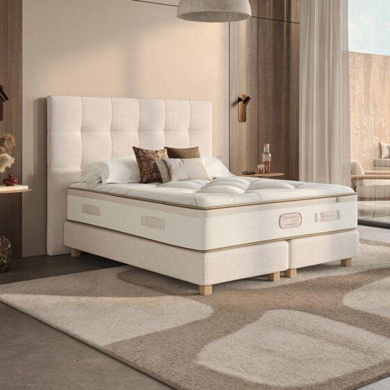 supreme-dream-ambiance